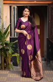 Banarasi Soft Silk Saree with Rich Pallu