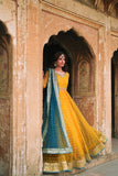 Embroidered Soft Net Gown Lehenga Set with Dupatta