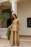 Regal Glow Banarasi Embroidered Co-Ord Set