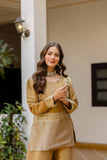 Regal Glow Banarasi Embroidered Co-Ord Set
