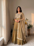 Elegant Embroidered Silk Gown Set