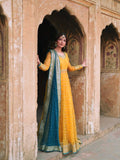 Embroidered Soft Net Gown Lehenga Set with Dupatta
