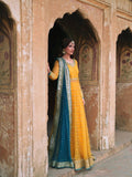 Embroidered Soft Net Gown Lehenga Set with Dupatta